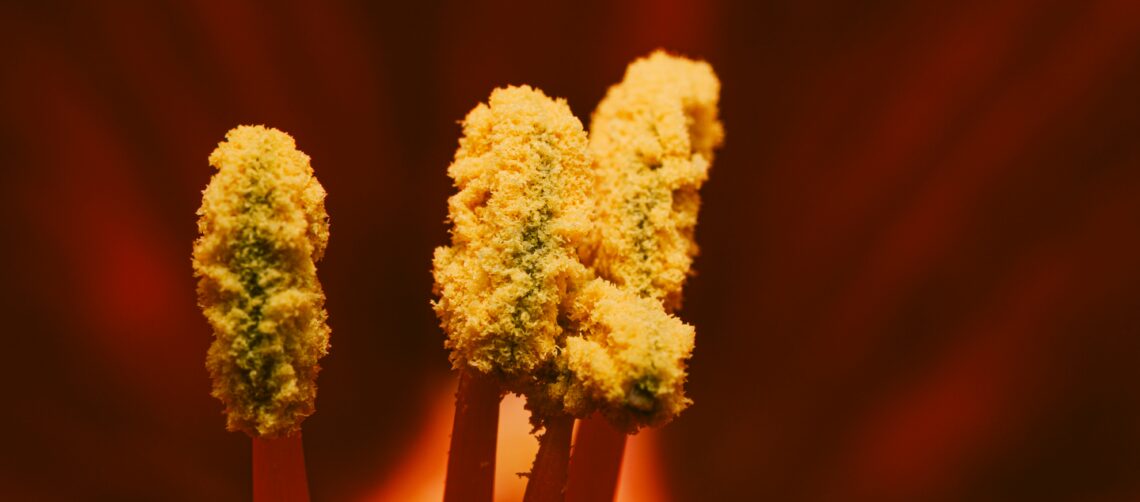 Closeup photo of a pollen encrusted flower in red and yellow.